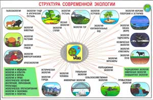 Формирование положительного отношения к объектам живой природы