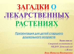 Презентация для детей старшего дошкольного возраста Загадки о лекарственных растениях