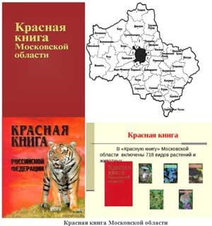 Конспект беседы с детьми по страницам Красной книги Подмосковья