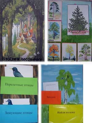 Конспект открытого мероприятия с детьми 4-5 лет по познавательному развитию с использованием лэпбука «В гости к лесовичку»