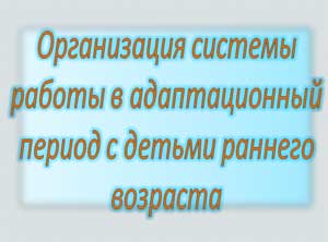 Презентация Организация системы  работы в адаптационный период с детьми раннего возраста