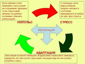 Фрагмент программы «Психология релаксации»