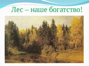 Конспект занятия по познавательному развитию «Лес — наше богатство!»