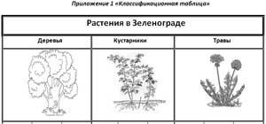 Конспект организации познавательно — исследовательской деятельности по ознакомлению дошкольников с природой родного города «Растительный мир Зеленограда»