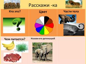 Конспект занятия по развитию речи по теме «Животные Африки» с использование ТСО.