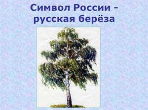 Конспект НОД по познавательному развитию для детей старшего возраста «Символ России — БЕРЕЗА» с использованием элементов ИКТ технологий