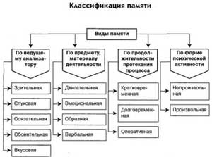 Понятие о зрительной памяти, его основные характеристики.