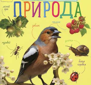 Ознакомление дошкольника с природой