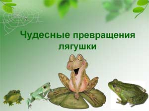 Презентация Чудесные превращения лягушки