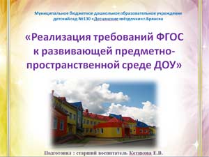 «Реализация требований ФГОС к развивающей предметно-пространственной среде ДОУ»