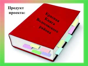 Исследовательский проект по экологии Красная книга Волосовского района