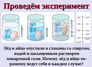 Развитие любознательности и познавательного интереса посредством экспериментирования со льдом