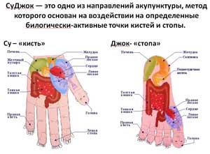 Су-джок терапия, как здоровьесберегающая технология в совместной и самостоятельной деятельности дошкольников.