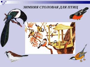 Открытое занятие по развитию речи совместно воспитатель и логопед «Зима. Зимующие птицы»