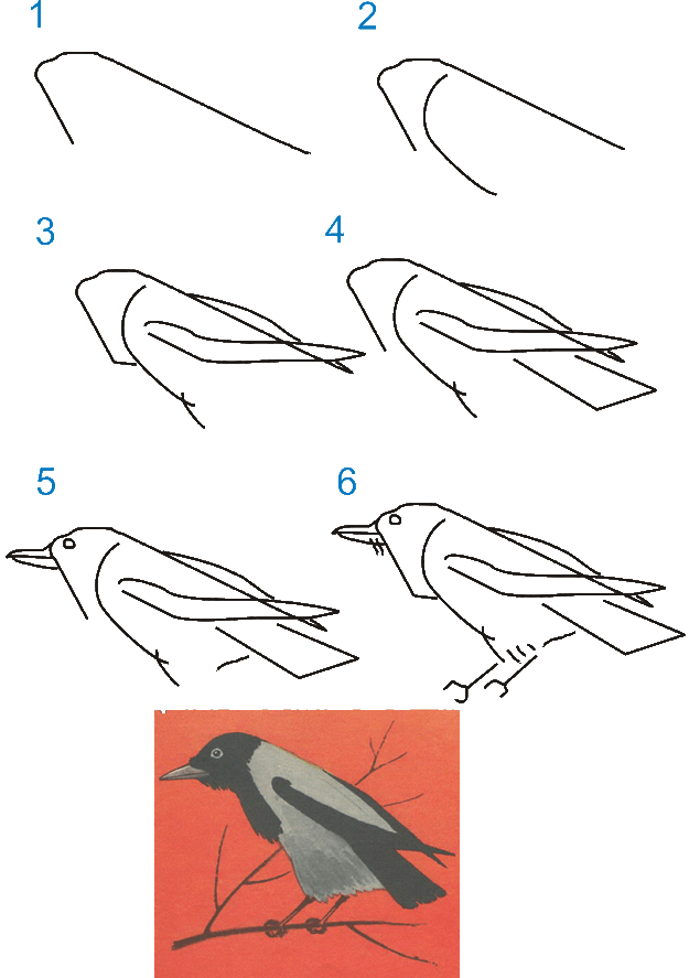 Пошаговый рисунок вороны